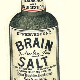  1890s Uk Brain Salt Headaches Humour by The Advertising Archives