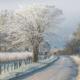 A Frosty Morning by Chris Moore