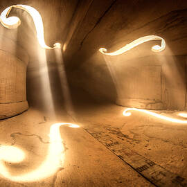 Inside Violin by Adrian Borda