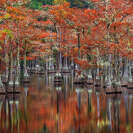 Quiet Cove by Chris Moore