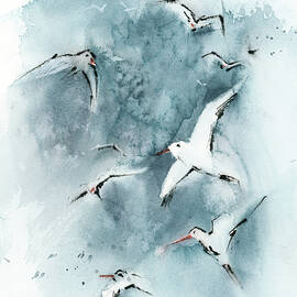 Seagulls by Sophia Rodionov