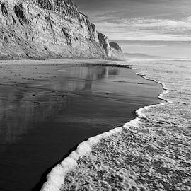 Torrey Pines Shoreline by William Dunigan