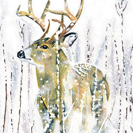 Winter Deer by Antony Galbraith