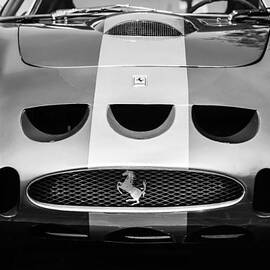 1964 Ferrari 275 GTB-C Speciale Grille -0959bw by Jill Reger