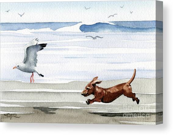 Dachshund at the Beach  #7 Canvas Art Print by David Rogers