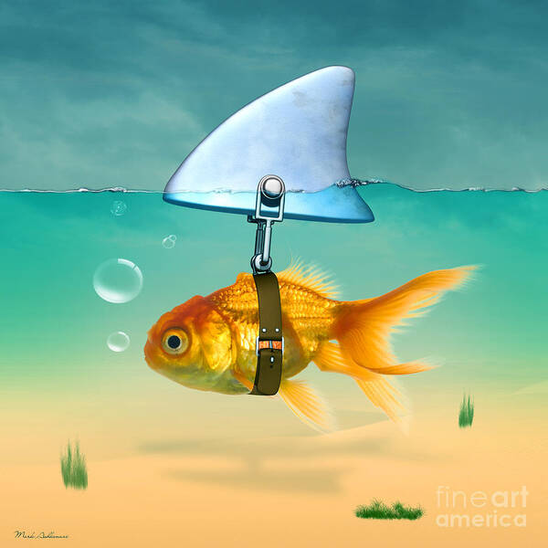 Gold Fish Art Print