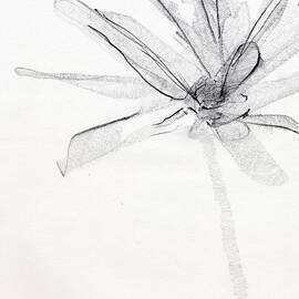 Untitled by Chris N Rohrbach