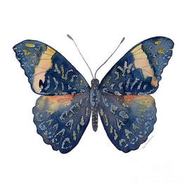 89 Red Cracker Butterfly by Amy Kirkpatrick