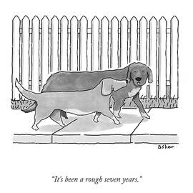 A Rough Seven Years by Asher Perlman