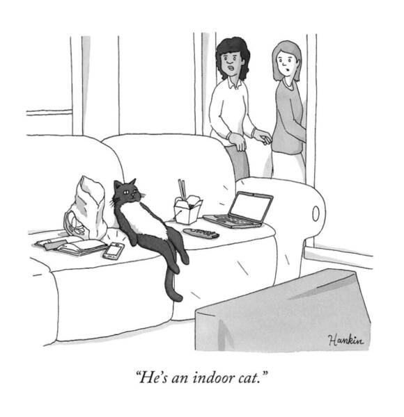 Wall Art - Drawing - He's an Indoor Cat by Charlie Hankin