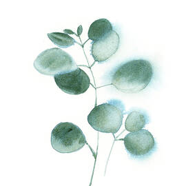 Abstract eucalyptus leaves by Sophia Rodionov