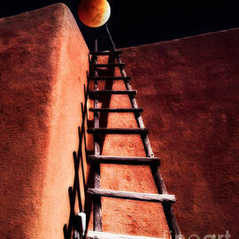 Adobe Dreams  by Elijah Rael