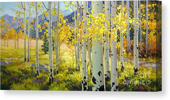 Afternoon Aspen Grove Canvas Art Print by Gary Kim