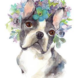 Amazing Gracie by Stephie Jones