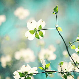 Arouse by Kim Fearheiley