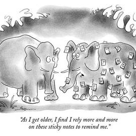 As I Get Older by Arnie Levin