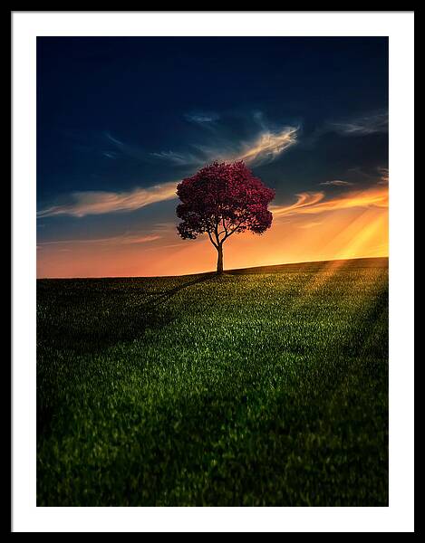 Awesome Solitude Framed Print