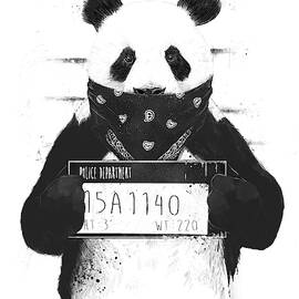 Bad panda by Balazs Solti