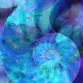 Blue Nautilus Shell By Sharon Cummings by Sharon Cummings