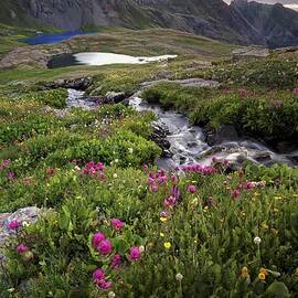 Bringing Life To Ice Lake Basin by Mike Berenson