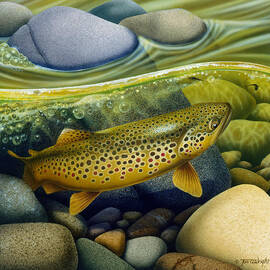 Brown Trout by JQ Licensing