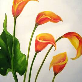 Calla Lilies by Carol Sweetwood