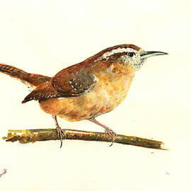 Carolina Wren watercolor painting by Juan  Bosco