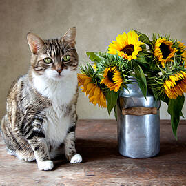 Cat and Sunflowers by Nailia Schwarz