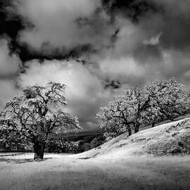Central California Ranch by Sean Foster