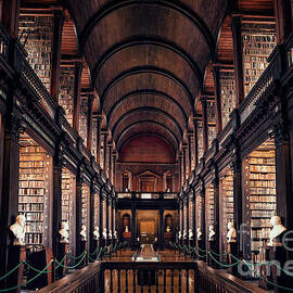 Chamber Of Eternal Wisdom by Evelina Kremsdorf