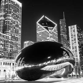 Cloud Gate Chicago Bean Black and White Picture by Paul Velgos