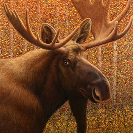 Colorado Moose by James W Johnson