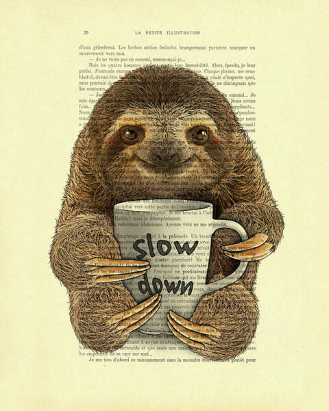 Cute Baby Sloth With Coffee Mug Slow Down Quote Poster