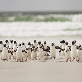 Desembarco by Joan Gil Raga