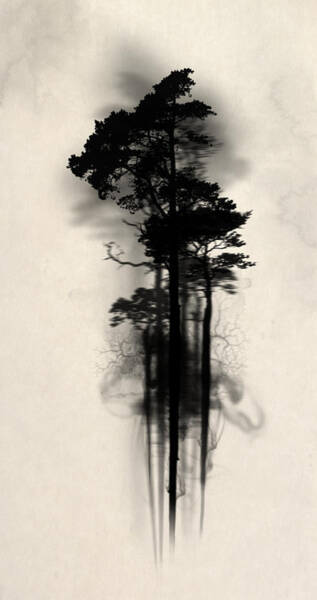 Wall Art - Painting - Enchanted Forest by Nicklas Gustafsson