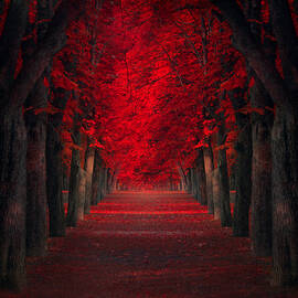 Endless Passion by Ildiko Neer