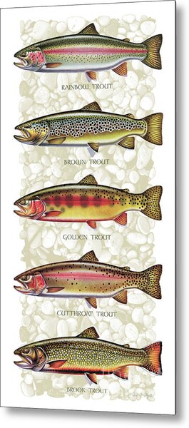 Five Trout Panel Metal Print