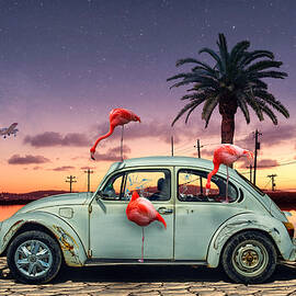 Flamingos Ate My Car by Christian Marcel