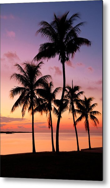 Florida Breeze Metal Print