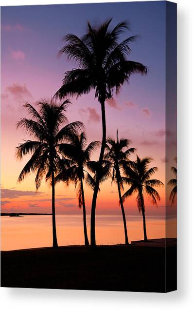 Florida Breeze Canvas Art Print by Chad Dutson