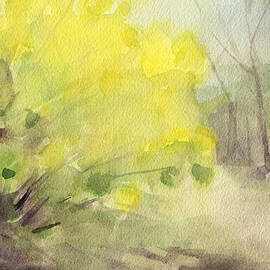 Forsythia in Central Park Watercolor Landscape Painting by Beverly Brown Prints