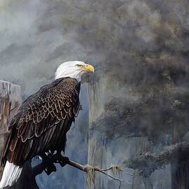 Freedom Haze by Steve Goad