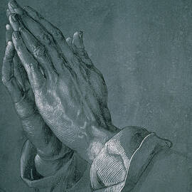 Hands of an Apostle by Albrecht Durer
