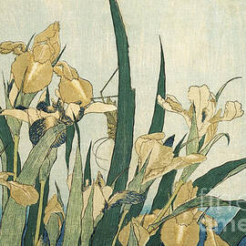 Irises with a Grasshopper by Hokusai