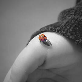 Just for a moment by Aimelle