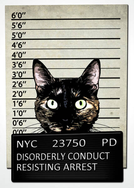 Kitty Mugshot Poster