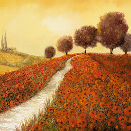 la collina dei papaveri by Guido Borelli
