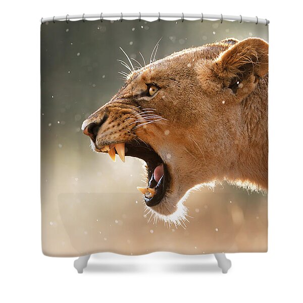 Lioness Displaying Dangerous Teeth In A Rainstorm Shower Curtain