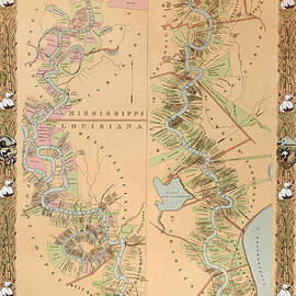 Map depicting plantations on the Mississippi River from Natchez to New Orleans by American School