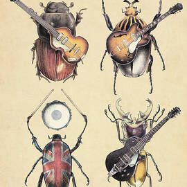 Meet the Beetles by Eric Fan